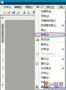 Word2003������������